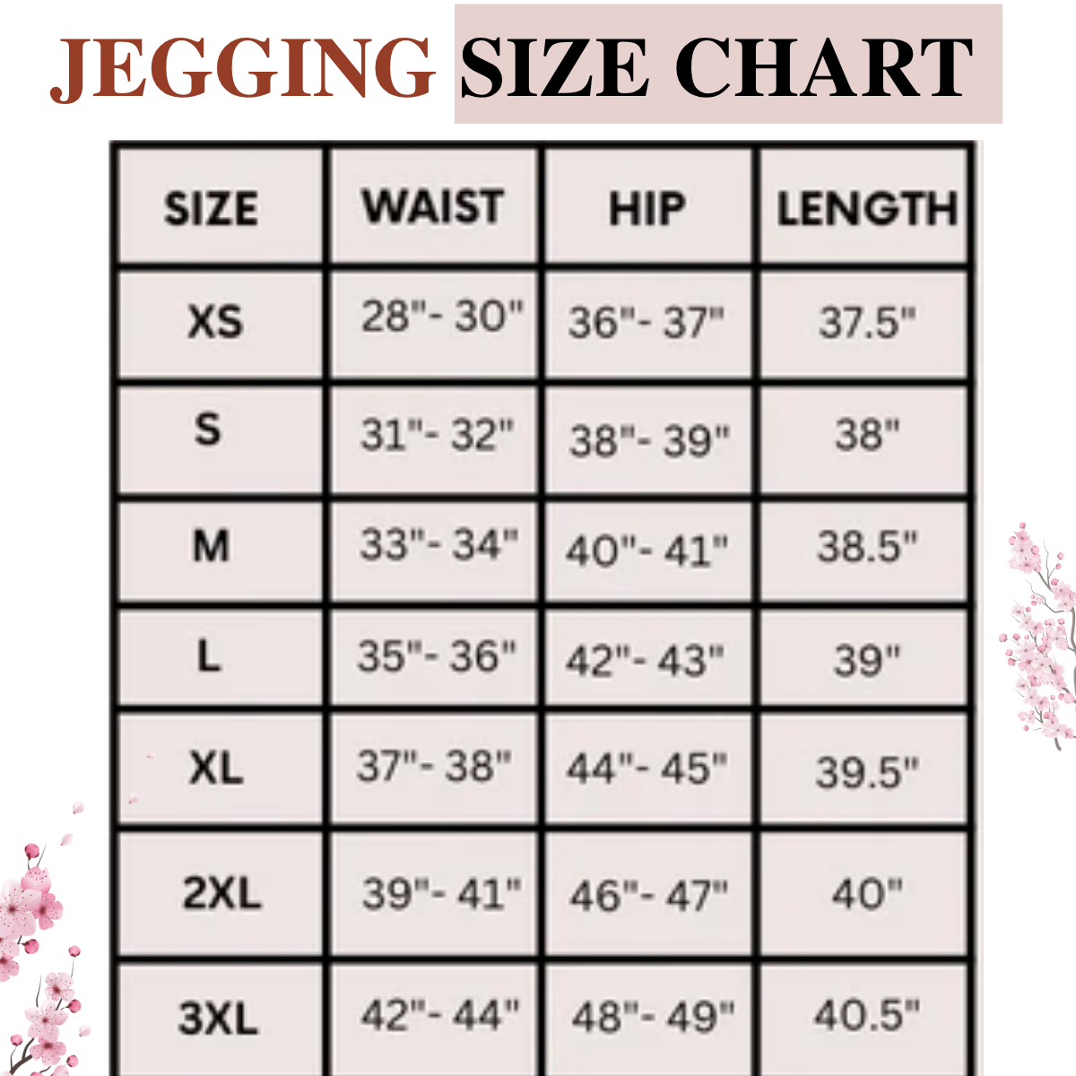 3-Pack Women's Jeggings Combo - Comfortable Stylish Bottoms | JC-10